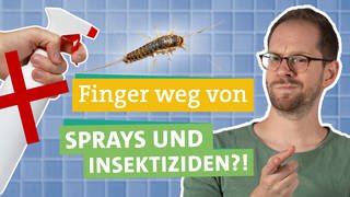 In der rechten Bildhälfte schaut Ökochecker Tobias Koch neugierig in die Kamera. In der Mitte des Bildes sind ein SilberfischPapierfischchen zu erkennen. Links sieht man eine Hand, die ein Insektizid festhält. Vor der Flasche ist ein großes rotes Kreuz.  Davor steht "Finger weg von" "SPRAYS UND INSEKTIZIEDEN?!" geschrieben, jeweils unterlegt von farbigen Bändern. Im Hintergrund sind hellblaue Fliesen zu erkennen.