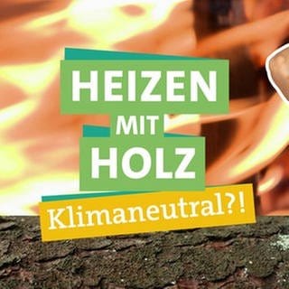 Wie klimaschädlich ist das Heizen mit Holz wirklich? In der rechten Bildhälfte schaut Ökocheckerin Katharina Röben neugierig in die Kamera. Links im Bild sieht man einen großen Baumstamm. Im Vordergrund steht "HEIZEN MIT HOLZ" und "Klimaneutral?!" geschrieben, jeweils unterlegt von farbigen Bändern. Im Hintergrund ist eine gelb-orange Flamme zu erkennen. 