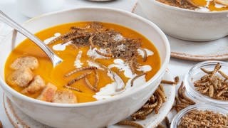 Eine Schüssel mit Kürbissuppe ist mit gerösteten Mehlwürmern dekoriert. Neben dem Teller stehen weitere Schälchen mit essbaren Insekten.