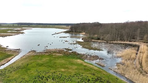 Aus Vogelperfekticve sieht man ein renaturiertes Moor, das durch das Projekt MoorFutures wiedervernässt wurde.