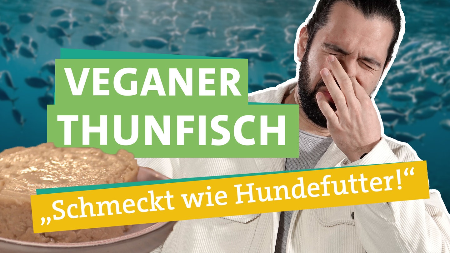 Zu den beliebtesten Speisefischen unter deutschen Verbrauchern gehört er: Der Thunfisch. Ökochecker Panagiotis Fotiadis in der rechten Bildhäfte hält sich die Nase zu und kneift die Augen zusammen. Im Hintergrund erkennt man viele silberfarbene Thunfische, die im Meer schwimmen. Links im Bild erkennt man Thunfisch aus der Dose, welcher auf einem Teller liegt. Mittig kann man, unterlegt von grünen und gelben Bändern, den Schriftzug 