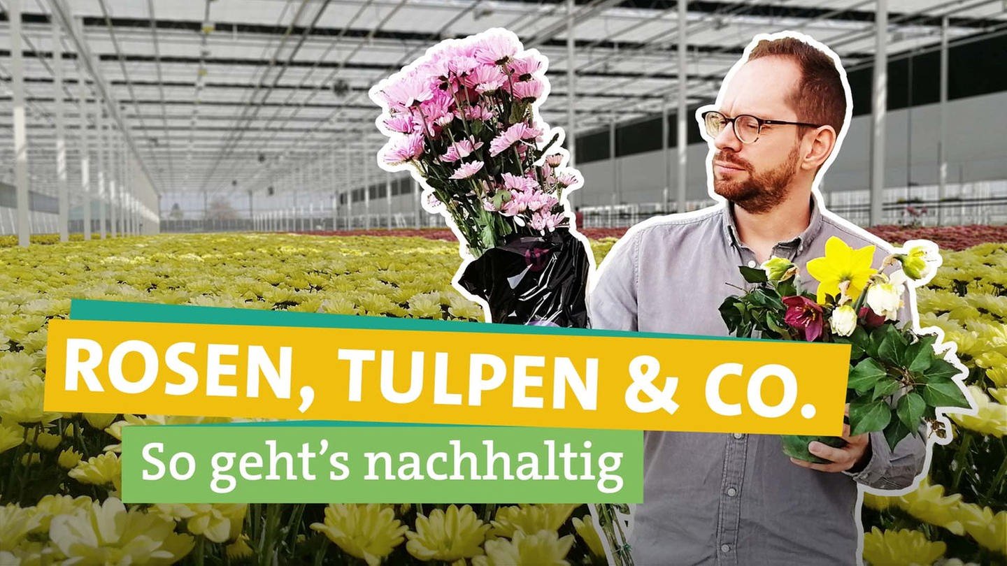 Ökochecker Tobias Koch steht vor einem Gewächshaus voller Blumen. Schnittblumen stammen häufig aus Afrika und werden dann mit dem Flugzeug nach Europa gebracht. Oder sie stammen aus beheizten Gewächshäusern in den Niederlanden.