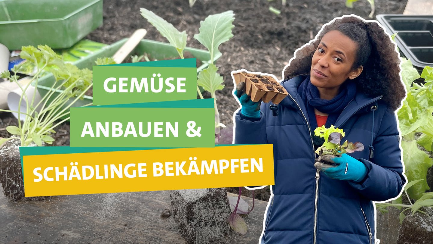 In der rechten Bildhälfte hält Ökocheckerin Anne Chebu in ihrer linken Hand einen kleinen Salatsteckling und in ihrer rechten Hand eine Palette kleiner Anzuchttöpfe aus Pappe. Sie trägt eine gesteppte Winterjacke.