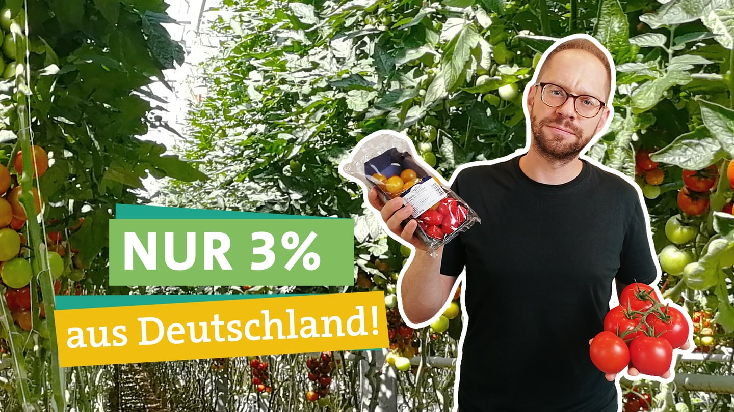 In der rechten Bildhälfte sieht man Ökochecker Tobias Koch. In seiner rechten Hand hält er eine Tomatenschale mit Plastikverpackung und in der linken Hand eine Tomatenrispe. Er schaut mit gerunzelter Stirn direkt in die Kamera. Links neben ihm liest man 