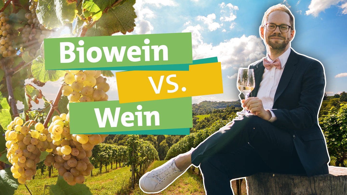 Ökochecker Tobias Koch genießt in den Weinbergen ein Glas Wein: Bio-Wein oder Wein aus konventioneller Herstellung - welche Herstellungsweise ist nachhaltiger?