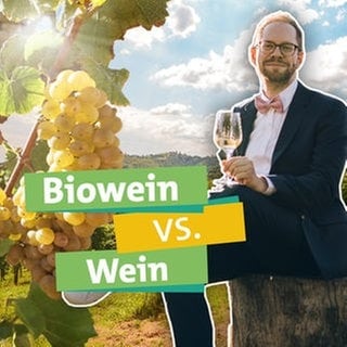 Ökochecker Tobias Koch genießt in den Weinbergen ein Glas Wein: Bio-Wein oder Wein aus konventioneller Herstellung - welche Herstellungsweise ist nachhaltiger?