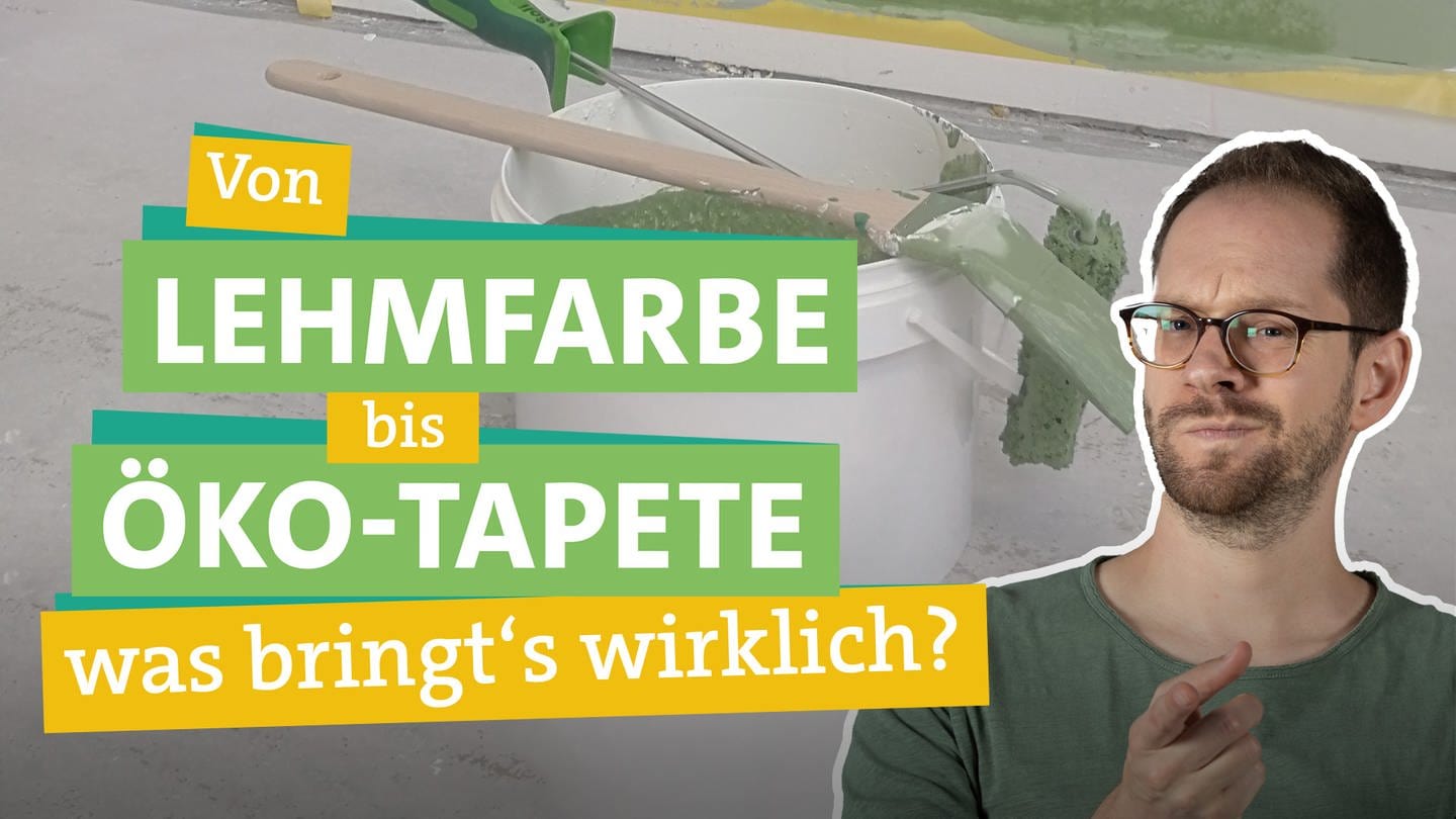 Nachhaltig renovieren mit Farbe und Tapete. In der rechten Bildhälfte schaut Ökochecker Tobias Koch herausvordern in die Kamera und streckt den Zeigefinger seine rechten Hand entgegen. Links steht unterlegt von farbigen Bändern 