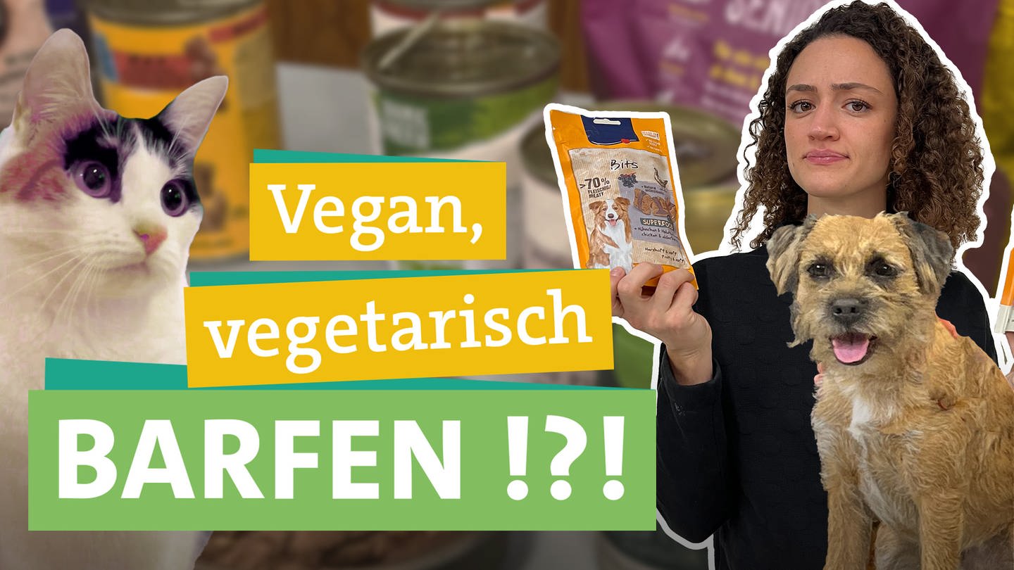 Tierfutter - Wie ernähren wir Hund und Katze gesund und nachhaltig? In der Bildmitte steht 