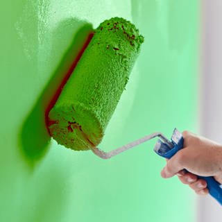 Person streicht mit Farbrolle eine Wand in einem hellgrünen Farbton.