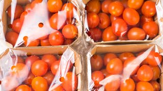 Zu sehen sind vier Packungen Tomaten 