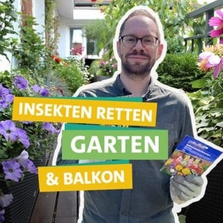 Tobias Koch checkt, welche Auswirkungen das Insektensterben hat und wie ein insektenfreundlicher Garten aussieht.