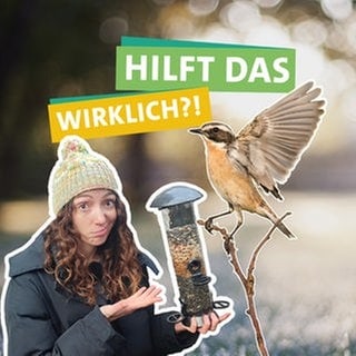 In der linken Bildhälfte schaut Ökocheckerin Lea Spraul fragend in die Kamera. Mittig sind zwei Vögel sowie ein Fütterungsbehälter für Vogelfutter abgebildet. Davor steht "HILFT DAS" "WIRKLICH?!" geschrieben, jeweils unterlegt von farbigen Bändern. Im Hintergrund ist eine verschwommene Naturlandschaft zu erkennen.