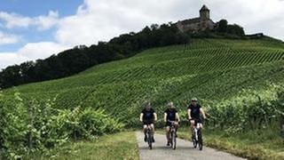 Drei Männer auf Fahrrädern, im Hintergrund Weinberge und Burg Lichtenberg