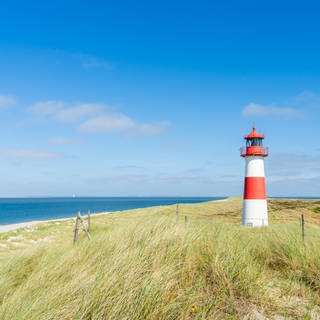 Typischer Anblick beim Urlaub auf Sylt: Ein rot-weiß gestreifter Leuchtturm steht in den Dünen, darüber blauer Himmel und Sonnenschein, links sieht man das Meer. 