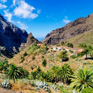 Die Landschaft Masca in Teneriffa mit blauem Himmel und strahlender Sonne. Was kostet Teneriffa Urlaub?