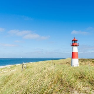 Typischer Anblick beim Urlaub auf Sylt: Ein rot-weiß gestreifter Leuchtturm steht in den Dünen, darüber blauer Himmel und Sonnenschein, links sieht man das Meer. 