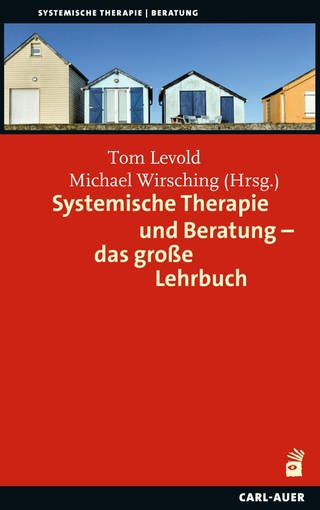 Prof. Dr. Michael Wirsching - Buchcover