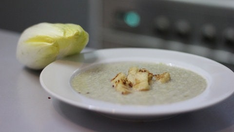 Die fertige Chicoréesuppe