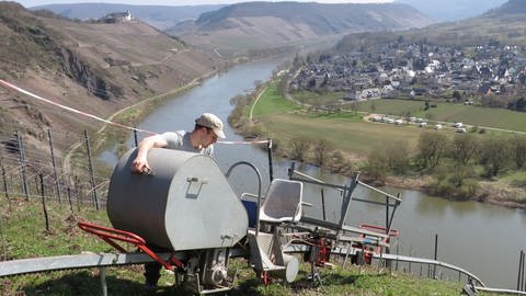 Blick vom Weinberg auf die Moselschleife vom Pündericher Hangviadukt aus. 