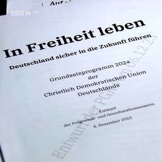 Papierstapel mit dem Entwurf des Grundsatzprogramms