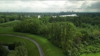 Fluchtweg in Altrip aus Vogelperspektive