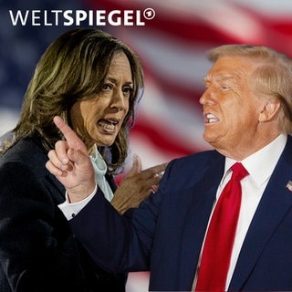 Trump, Harris