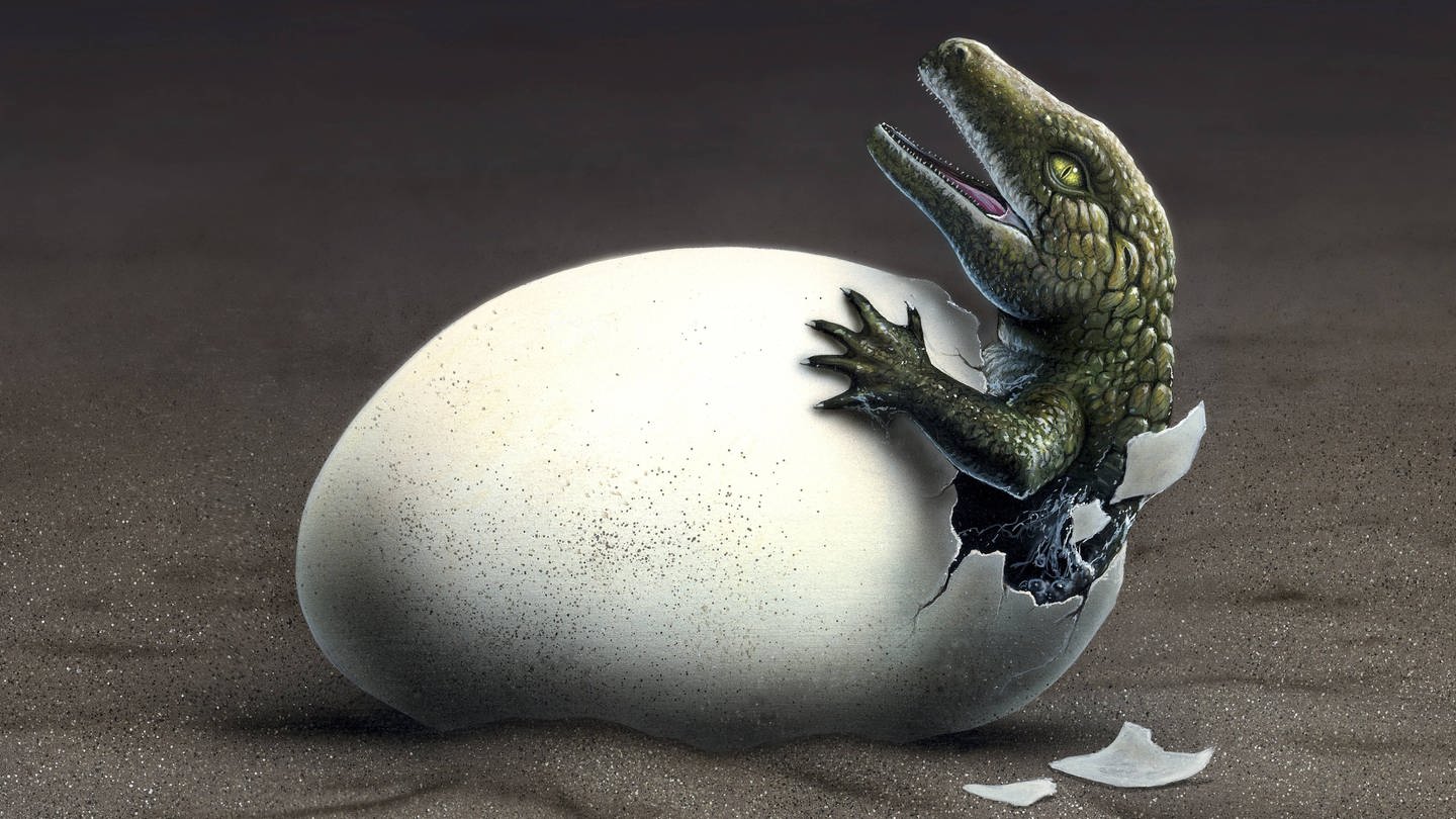 Ein Saurier schlüpft aus einem Ei