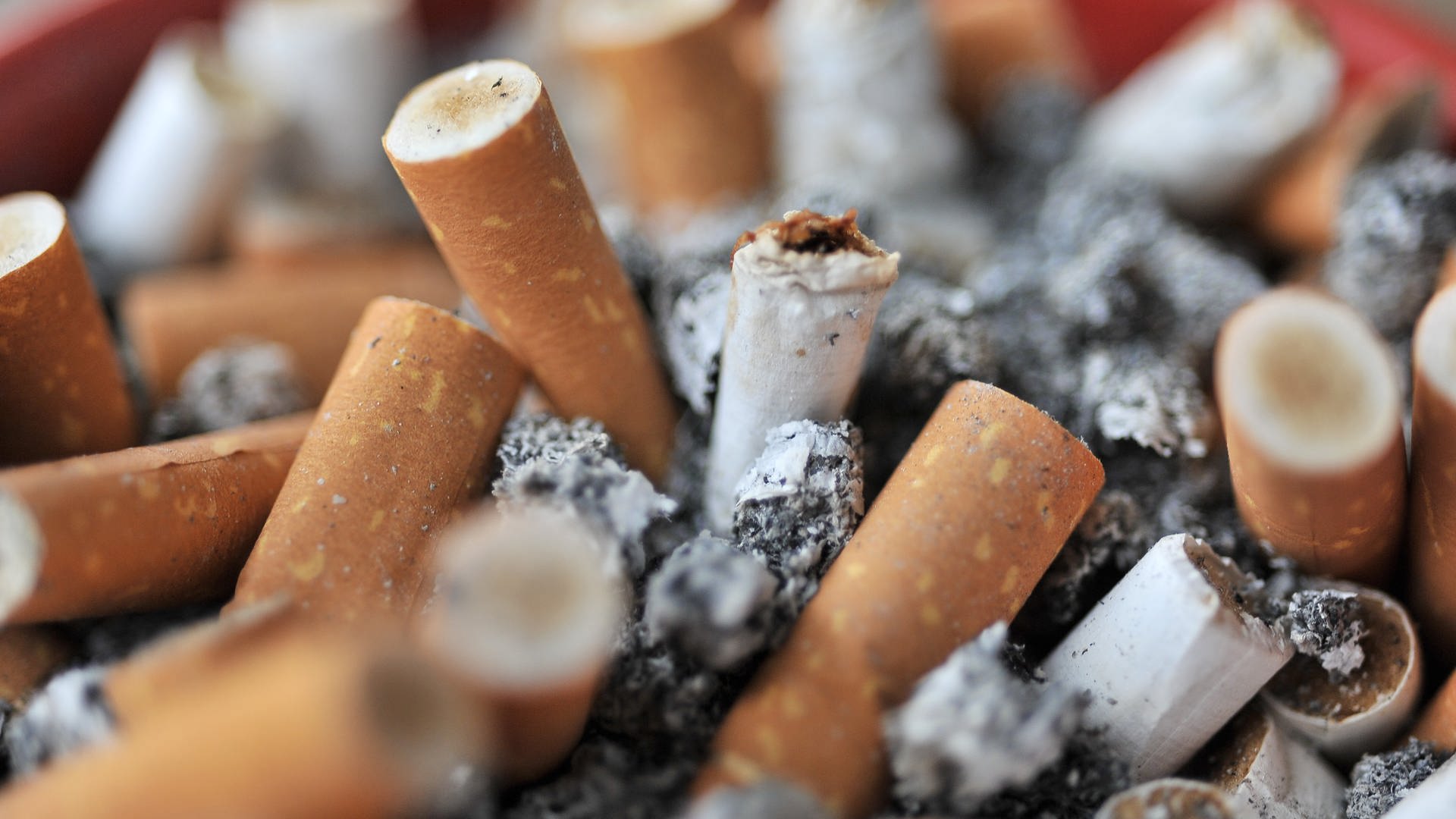 Mit dem Rauchen aufhören: Wann ist der Körper wieder auf Nichtraucherniveau?