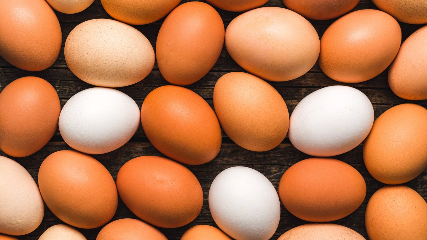 Braune und weiße Eier: Eierschalen bestehen hauptsächlich aus Kalk und Kalk ist weiß – das ist also die Grundfarbe der Eier. Braune Eier haben verschiedene Pigmente, weiße Eier haben keine Pigmente. Ob ein Huhn weiße oder pigmentierte Eier legt, ist ausschließlich eine Frage der Gene und damit eine Frage der Hühnerrasse.