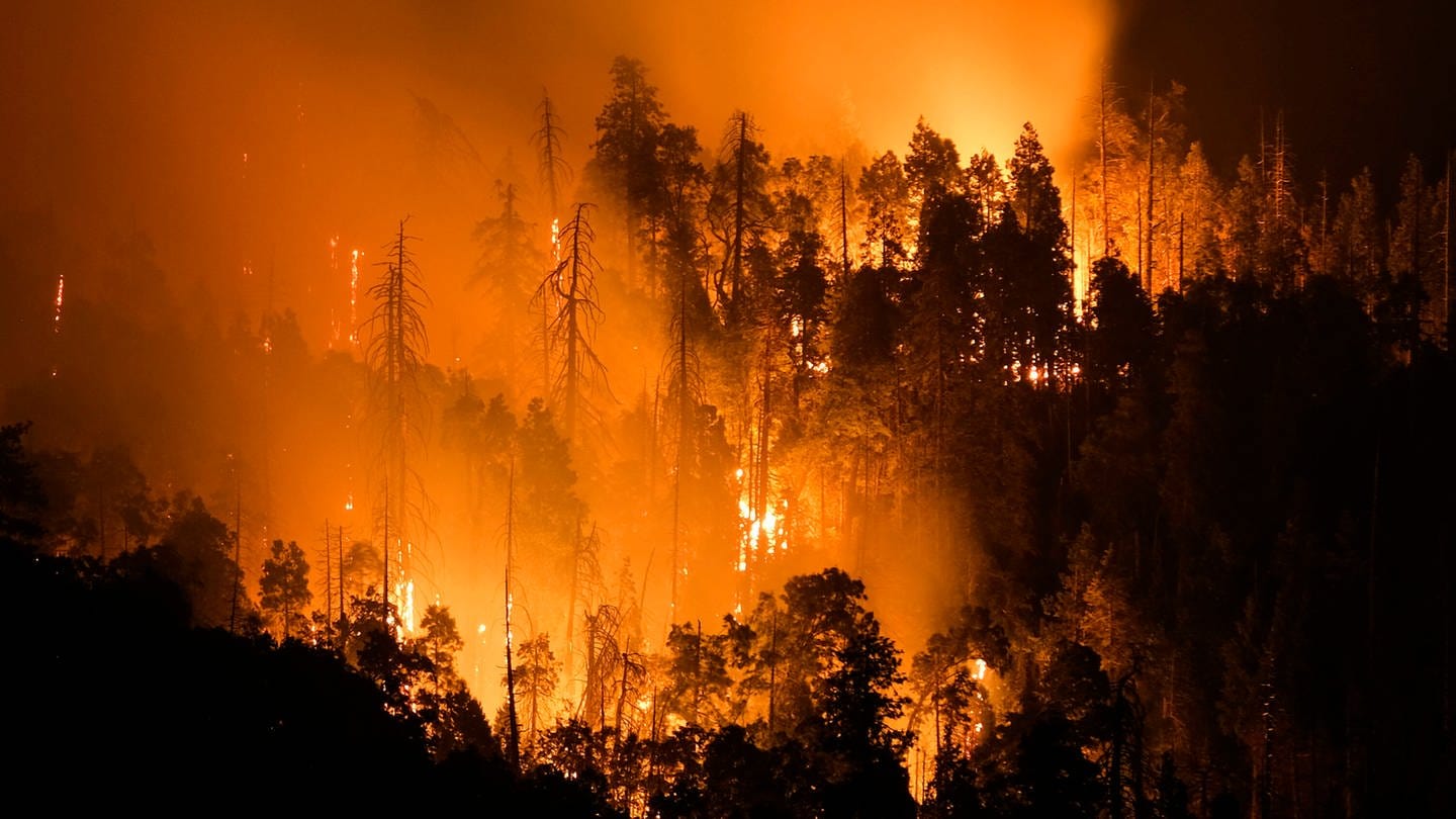 Waldbrand in Kalifornien / USA: Der Klimawandel verändert aber die Verteilung von Niederschlägen. Er führt dazu, dass wir im Schnitt häufigere, teilweise lokale Starkregen haben, dazwischen aber längere Dürreperioden. Das ist der eigentliche Faktor, der dazu führen könnte, dass bei steigenden globalen Temperaturen das Waldbrandrisiko steigt.