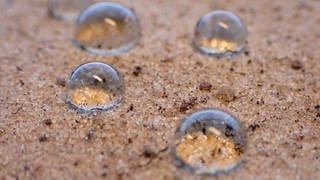 Ein trockener Boden hat eine sogenannte "Benetzungshemmung". Er nimmt weniger leicht Wasser auf als ein Boden, der schon etwas feucht ist. (Foto: © BGR)