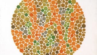 Ishihara-Farbtafel für Farbsehtests: Ob Menschen Dinge gleich wahrnehmen, weiß man nicht. Es ist sogar wahrscheinlich, dass Menschen Dinge tatsächlich unterschiedlich wahrnehmen, auch Farben. 