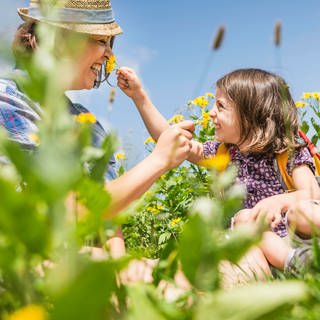 Eine Frau und ein Mädchen sitzen in einer Wiese und kitzeln einander mit gelben Blumen an der Nase: Kitzeln ist lustig, sich selbst kitzeln funktioniert aber nicht. Warum ist das so?