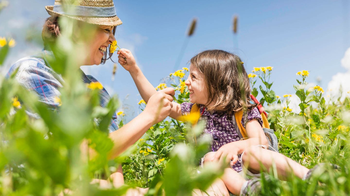 Eine Frau und ein Mädchen sitzen in einer Wiese und kitzeln einander mit gelben Blumen an der Nase: Kitzeln ist lustig, sich selbst kitzeln funktioniert aber nicht. Warum ist das so?