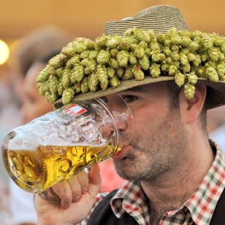 Ein Oktoberfestbesucher mit Hopfen am Hut trinkt eine Maß Bier: Hopfen hat eine entspannende Wirkung; er macht müde, und zwar unabhängig vom Alkohol. Deshalb kann auch alkoholfreies Bier müde machen – das enthält ebenfalls Hopfen. 