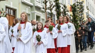 Palmsonntagprozession, Messdiener mit Palmbuschen