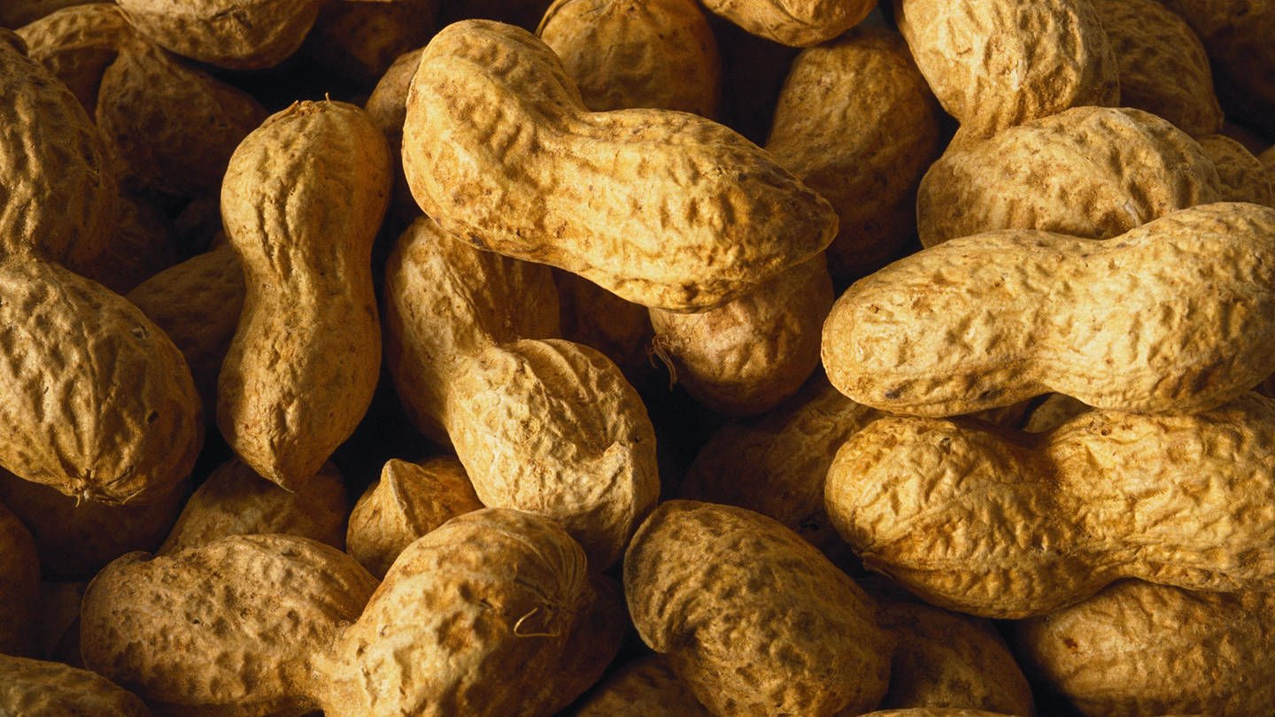Lebensmittel: Nüsse - Nüsse - Lebensmittel - Gesellschaft - Planet