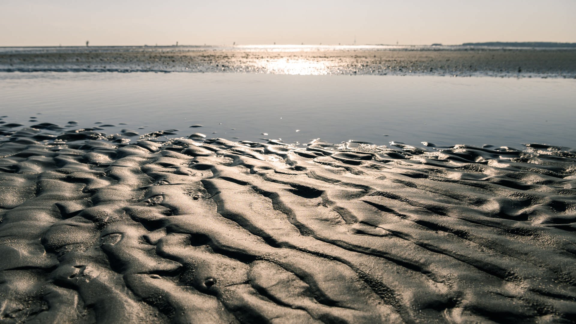 Warum Gibt Es An Der Nordsee Gezeiten Und An Der Ostsee Nicht Swr Wissen