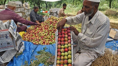 Die indische Virusvariante verunsichert und die Menschen haben Angst, sich über importierte Lebensmittel zu infizieren. (Foto: Imago, imago images/Hindustan Times)