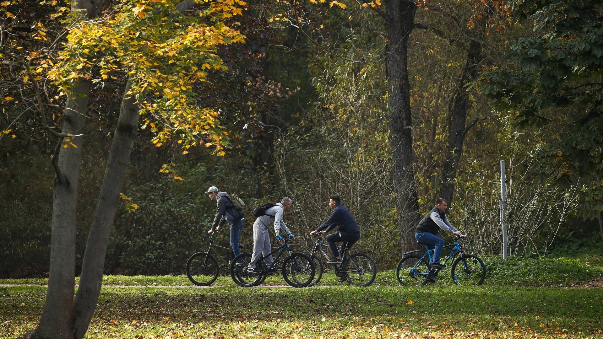 Leergekauft Händlern in BW gehen Fahrräder und