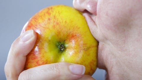 Manche reagieren allergisch, wenn Sie in einen Apfel beißen. Verantwortlich sind dafür bestimme im Apfel enthaltene Apfelsorten.