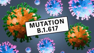 Symbolische Abbildung von Coronaviren unter dem Titel "Mutation B.1.617".