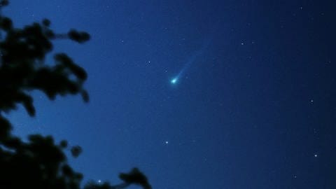 El cometa Nishimura con una cola azulada en el cielo matutino (Foto: Dr. Sebastian Voltmer)