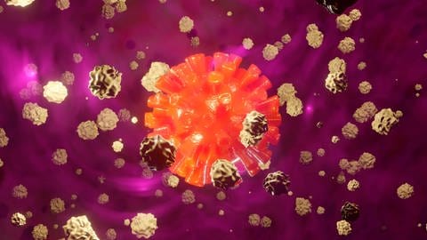 Welche Rolle Coronaviren bei der Entstehung von Thrombosen haben könnten, wird derzeit noch erforscht.
