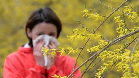 Pollen