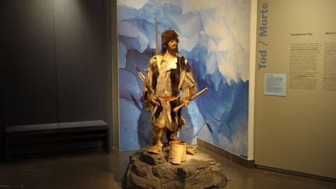 Ausstellungsraum mit Ötzi-Nachbildung im Südtiroler Archäologiemuseum in Bozen.