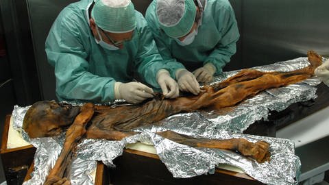 Forscher sind bei der Probenahme des Mageninhaltes der Mumie