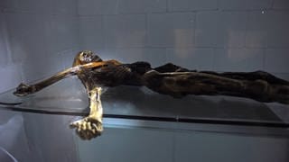 "Ötzi" wurde im September 1991 in den Ötztaler Alpen entdeckt.