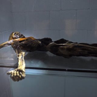 "Ötzi" wurde im September 1991 in den Ötztaler Alpen entdeckt.