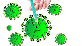 Grippeviren mutieren und müssen daher immer wieder angepasst werden.